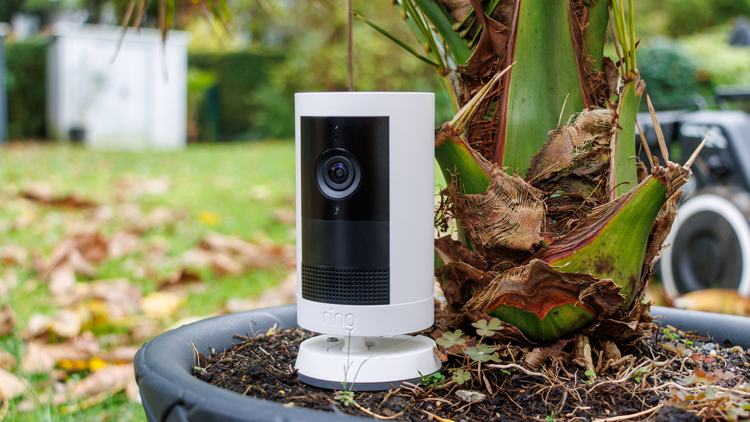 (Bildkälla: Daniel Schmidt)