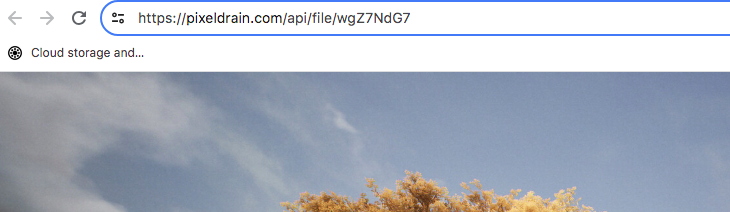 Det enklaste sättet att börja använda PixelDrain är att ladda upp filer till My Files. Du kommer att få en länk som den som visas ovan som ett resultat. Även om det inte är någon riktig hotlinking är detta fortfarande bättre än vad de flesta konkurrerande plattformar erbjuder (Bildkälla: Notebookcheck)