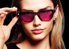 Ray-Ban Meta Smart Glasses respekterar enligt uppgift inte användarnas integritet.