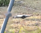 En titt på den påstådda DJI Avata 360. (Bildkälla: via Mauro Tandoi)