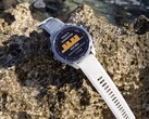 Systemprogramvaran 22.07 har kommit för dykdatorerna Descent Mk3 och Mk3i (bilden). (Bildkälla: Garmin)