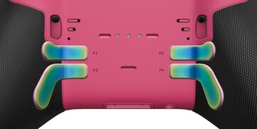 Den rosa bakplattan och de bakre paddlarna