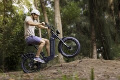 Kingbull Jumper Go, en elcykel med tjocka däck, har en kraftfull 750 W Bafang borstlös navmotor (Bildkälla: Kingbull)