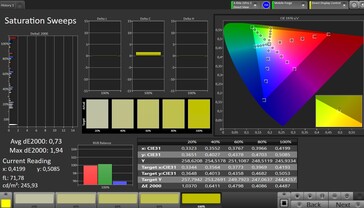 CalMAN Saturation - Standardinställningar utan True Tone