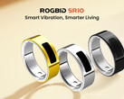 Rogbid SR10 lanseras till ett rabatterat pris på $ 99,99 (Bildkälla: Rogbid)