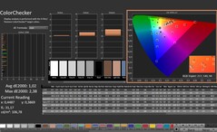 CalMAN: ColorChecker (kalibrerad)