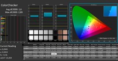 CalMAN: ColorChecker (kalibrerad)