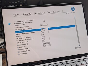 Alternativ på upp till 96 GB för GPU. HP varnar för att "överdriven videominnesstorlek" kan påverka systemets övergripande prestanda