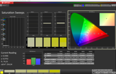 CalMAN-mättnadssvep (P3)