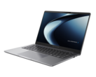 En ny variant av Asus ExpertBook P3 har tillkännagivits (bildkälla: Asus)