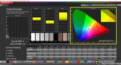 CalMAN ColorChecker (profil: P3, målfärgrymd: P3)