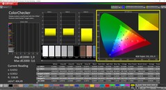 CalMAN ColorChecker (profil: sRGB, målfärgrymd: sRGB)