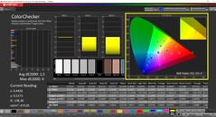 CalMAN ColorChecker (profil: Native, målfärgrymd: P3)
