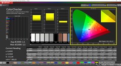 CalMAN ColorChecker (profil: infödd, målfärgsområde: P3)