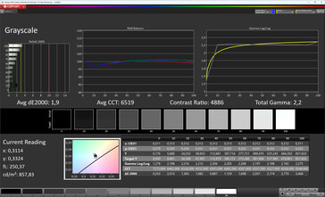 Gråskalor (True Tone: av, målfärgrymd: sRGB)