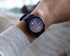 Betaversion 14.05 är tillgänglig för smartklockorna Garmin Venu 3 (ovan) och vivoactive 5. (Bildkälla: Garmin)