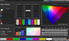 CalMAN färgrymd sRGB