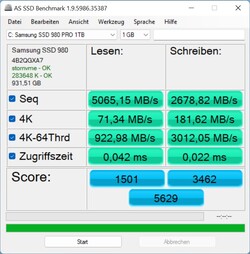 Under genomsnittlig poäng i AS SSD för en 980 Pro.