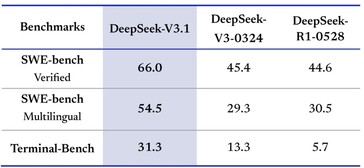 Programmerare kommer att uppskatta DeepSeek-V3.1 för dess starkare kodningsförmåga. (Bildkälla: DeepSeek)