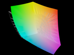Panelen täcker 95,5 procent av AdobeRGB-färgrymden