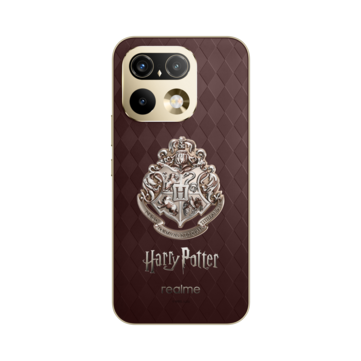 De fyra Hogwarts-husens vapensköldar avslöjar sina husfärger i solljus