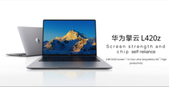 Qingyun L420z i färgvarianten space gray