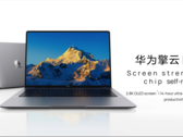Qingyun L420z i färgvarianten space gray