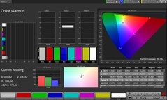 CalMAN färgrymd sRGB