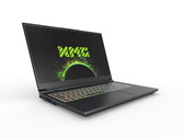 Recension av Schenker XMG Pro 15 (RTX 3080 Ti): En Mike Tyson för allt-i-allo-laptops