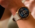 Användare av Garmin Fenix 8 AMOLED smartwatch (bilden) har flaggat för ett problem med ljusstyrkan. (Bildkälla: Garmin)