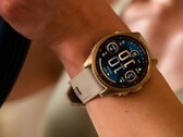 Användare av Garmin Fenix 8 AMOLED smartwatch (bilden) har flaggat för ett problem med ljusstyrkan. (Bildkälla: Garmin)