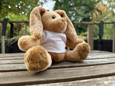 Apple iPhone 17 Pro: Exempel på foto