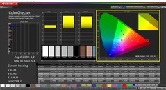 CalMAN ColorChecker kalibrerad (målfärgrymd P3)