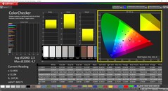 CalMAN ColorChecker (målfärgrymd P3)