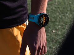 Garmin har återvänt till sitt Forerunner Beta Program efter en kort paus för att lösa buggar som orsakade systemkrascher i en ny version. (Bildkälla: Garmin)