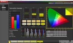 Mättnad (kalibrerad)