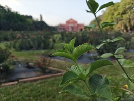 Porträttfoto med vidvinkelobjektiv