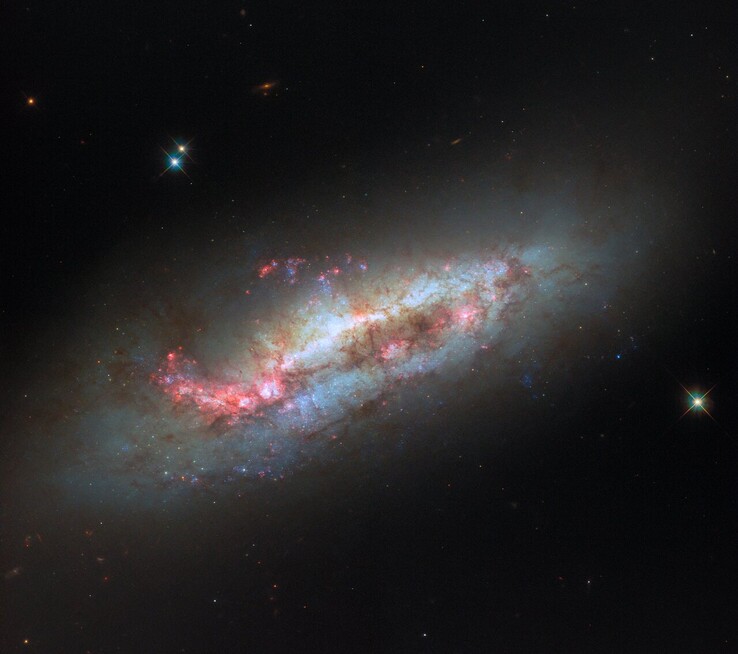 Hubble-bild av NGC 1151 (Bildkälla: ESA/Hubble, NASA, och D. Thilker)