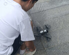 DJI Mini 5 Pro genomgår redan tester. (Bildkälla: Igor Bogdanov)