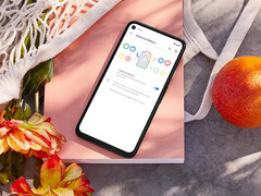 Den batteridödande uppdateringen är nu tvångsmässigt installerad på kvarvarande Pixel 4a. På bilden: telefonen. (Bildkälla: Google)
