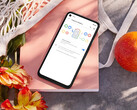 Den batteridödande uppdateringen är nu tvångsmässigt installerad på kvarvarande Pixel 4a. På bilden: telefonen. (Bildkälla: Google)