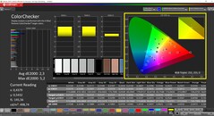 CalMAN ColorChecker (profil: Native, målfärgrymd: P3)