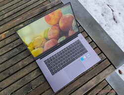 I granskning: Huawei MateBook D 15 Intel (2021), tillhandahållen av Huawei Germany.