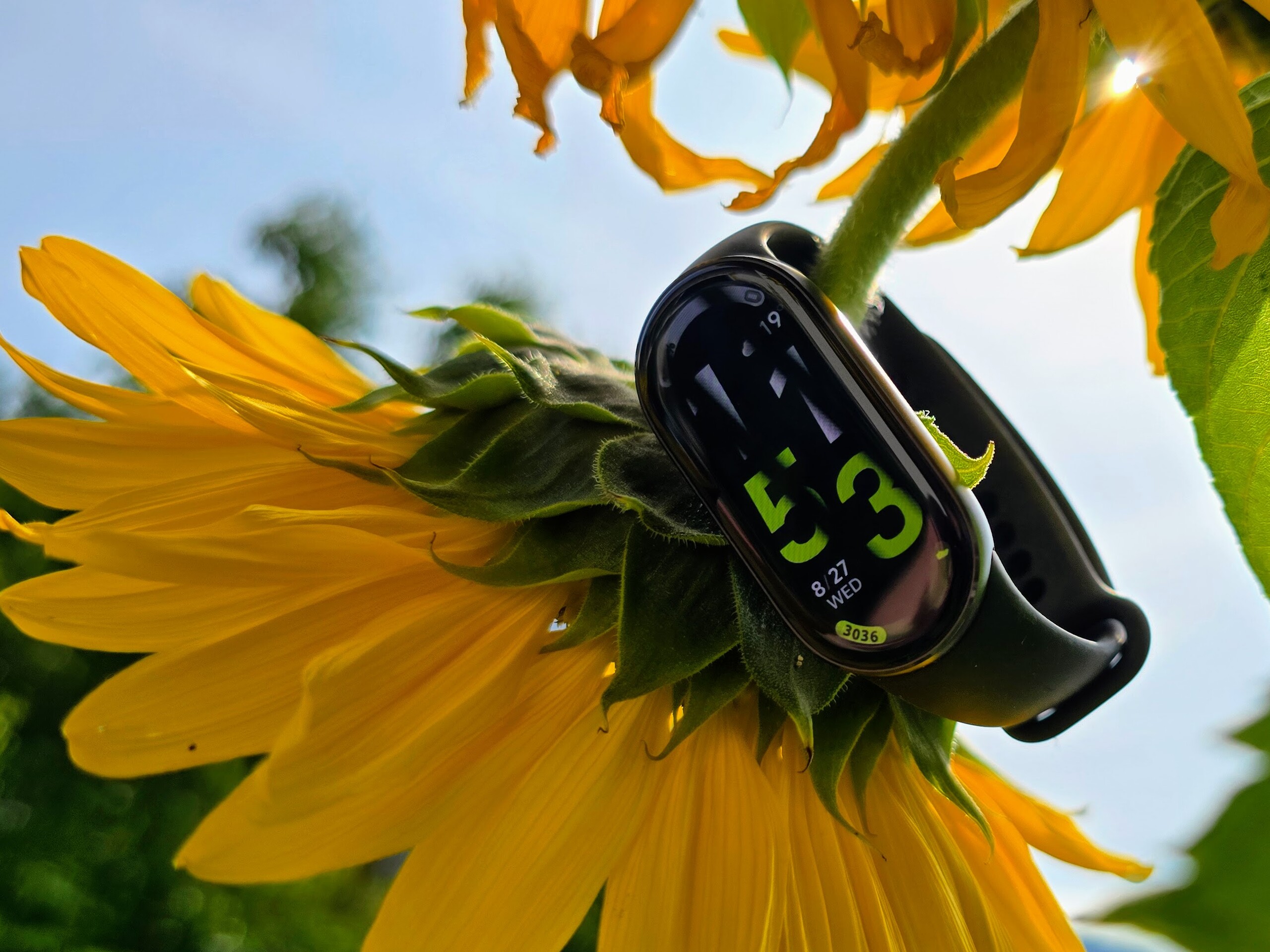 I testet: Xiaomi Smart Band 10