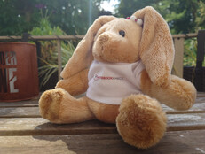 Sony Xperia 1 VII: Exempel på foto