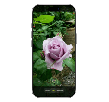 Siri kommer att bakas in i kameraappen för första gången, vilket integrerar visuell intelligens för att identifiera objekt via externa AI-tjänster som Google och ChatGPT, säger läckan.