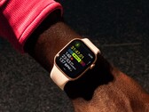 Batteritiden för Apple Watch Series 11 kommer troligen inte att vara mycket längre än för Series 10. (Bildkälla: Apple)