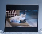 Vivo X Fold5 sägs fungera bra med Apple Watch och även med iPhones, MacBooks och iCloud. (Bildkälla: Vivo)