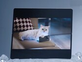 Vivo X Fold5 sägs fungera bra med Apple Watch och även med iPhones, MacBooks och iCloud. (Bildkälla: Vivo)