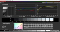 CalMAN Colorchecker Gråskala